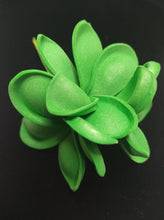 Load image into Gallery viewer, PLUMERIA PARADISE SEI