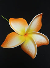 Load image into Gallery viewer, PUA MANA SEI & CLIP