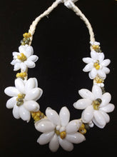 Load image into Gallery viewer, MONGO SEASHELL CHOKER OR HAIR PIECE