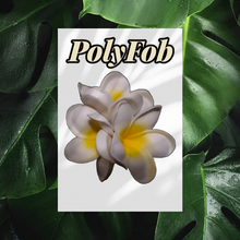 Load image into Gallery viewer, PLUMERIA PARADISE SEI