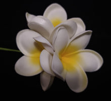 Load image into Gallery viewer, PLUMERIA PARADISE SEI