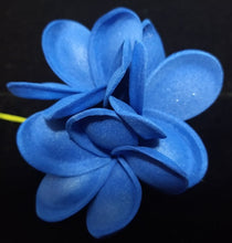 Load image into Gallery viewer, PLUMERIA PARADISE SEI