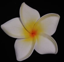 Load image into Gallery viewer, PUA MANA SEI & CLIP