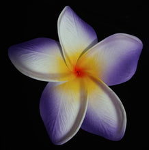 Load image into Gallery viewer, PUA MANA SEI & CLIP