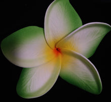 Load image into Gallery viewer, PUA MANA SEI & CLIP