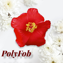 Load image into Gallery viewer, HIBISCUS SPARK SEI