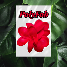 Load image into Gallery viewer, PLUMERIA PARADISE SEI