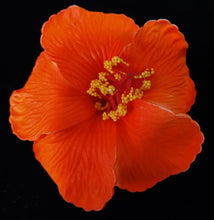 Load image into Gallery viewer, HIBISCUS SPARK HAIR CLIP