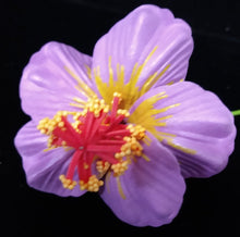 Load image into Gallery viewer, HIBISCUS TRANQUIL HAIR CLIP