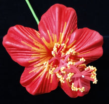 Load image into Gallery viewer, HIBISCUS TRANQUIL HAIR CLIP