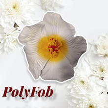 Load image into Gallery viewer, HIBISCUS SPARK SEI