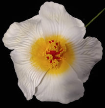 Load image into Gallery viewer, HIBISCUS SPARK SEI