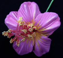 Load image into Gallery viewer, HIBISCUS TRANQUIL HAIR CLIP