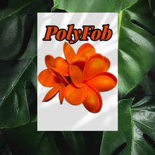 Load image into Gallery viewer, PLUMERIA PARADISE SEI