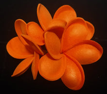 Load image into Gallery viewer, PLUMERIA PARADISE SEI