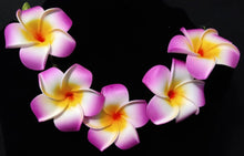 Load image into Gallery viewer, PLUMERIA FLOWER HEADBANDS