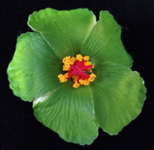 Load image into Gallery viewer, HIBISCUS SPARK HAIR CLIP