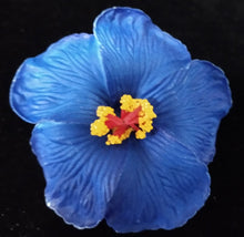 Load image into Gallery viewer, HIBISCUS SPARK HAIR CLIP