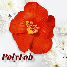 Load image into Gallery viewer, HIBISCUS SPARK SEI