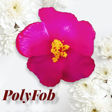 Load image into Gallery viewer, HIBISCUS SPARK SEI