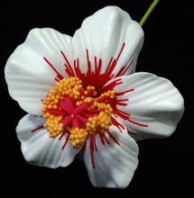 Load image into Gallery viewer, HIBISCUS TRANQUIL HAIR CLIP