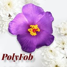 Load image into Gallery viewer, HIBISCUS SPARK SEI