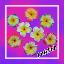 Load image into Gallery viewer, Little Pua Hair Clip (Set of 2)