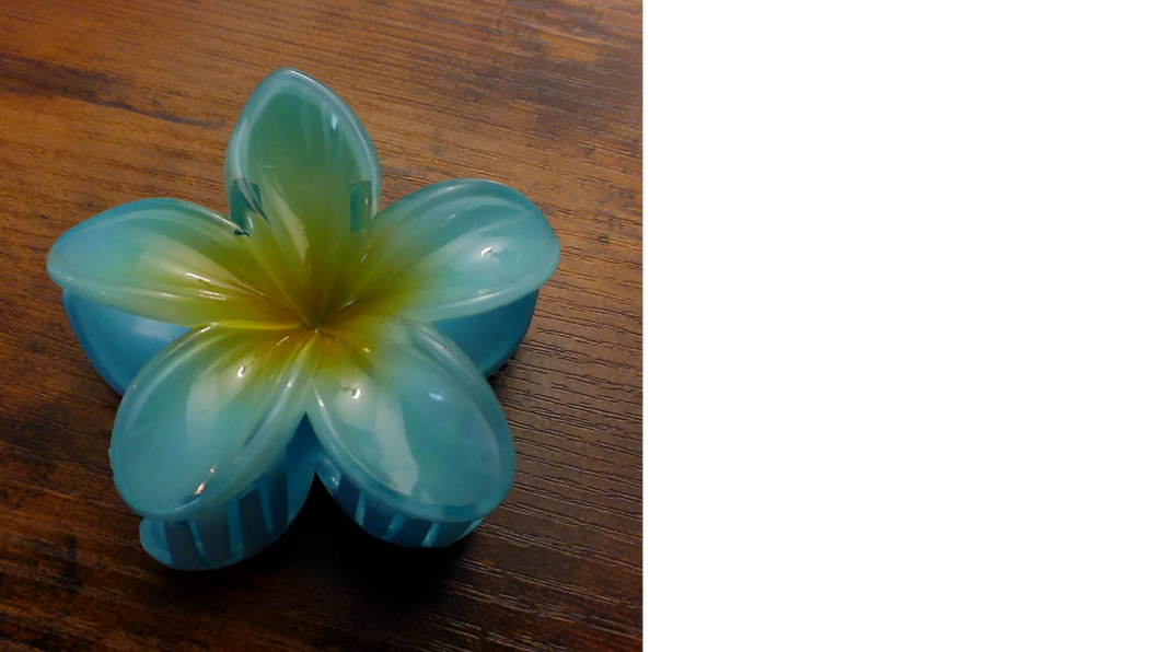 Pasifika Petal Hair Clip