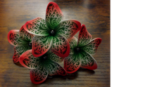 Load image into Gallery viewer, Tribal Petal Power Pick

