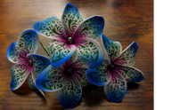 Load image into Gallery viewer, Tribal Petal Power Pick
