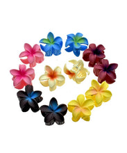 Load image into Gallery viewer, Tropical Plumeria Blossom Hair Clip Set
