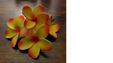 Load image into Gallery viewer, Pua Paradise Pick

