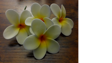 Load image into Gallery viewer, Pua Paradise Pick

