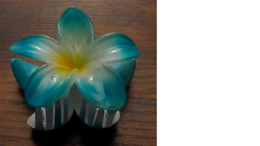 Pua Mana Hair Clip