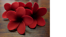 Load image into Gallery viewer, Pua Paradise Pick
