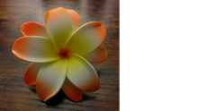Load image into Gallery viewer, Tiare Dream Double Bloom Clip
