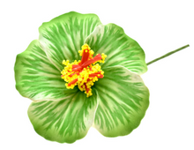 Load image into Gallery viewer, HIBISCUS GLOW FLOWER SEI
