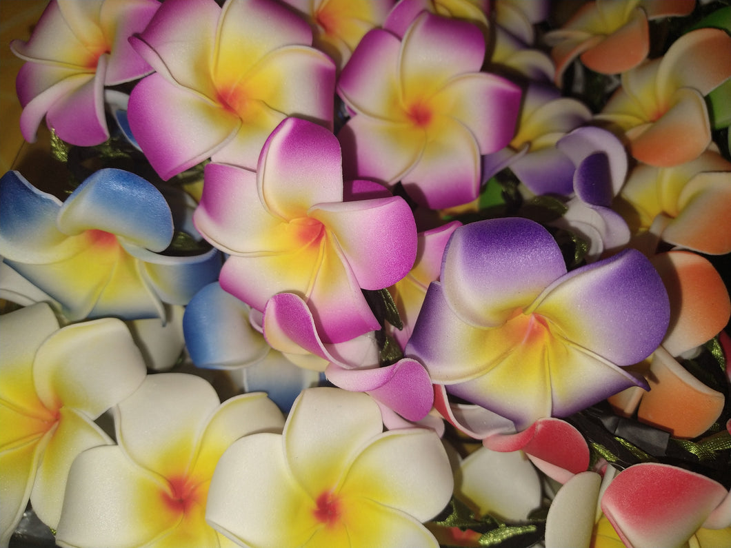 PolyFob Bloom Bundle