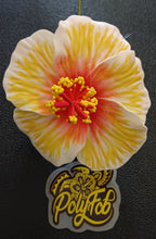 Load image into Gallery viewer, HIBISCUS GLOW FLOWER SEI
