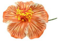 Load image into Gallery viewer, HIBISCUS GLOW FLOWER SEI
