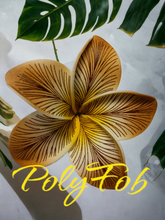 Load image into Gallery viewer, ISLAND PETALS SEI
