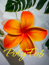 Load image into Gallery viewer, ISLAND PETALS SEI
