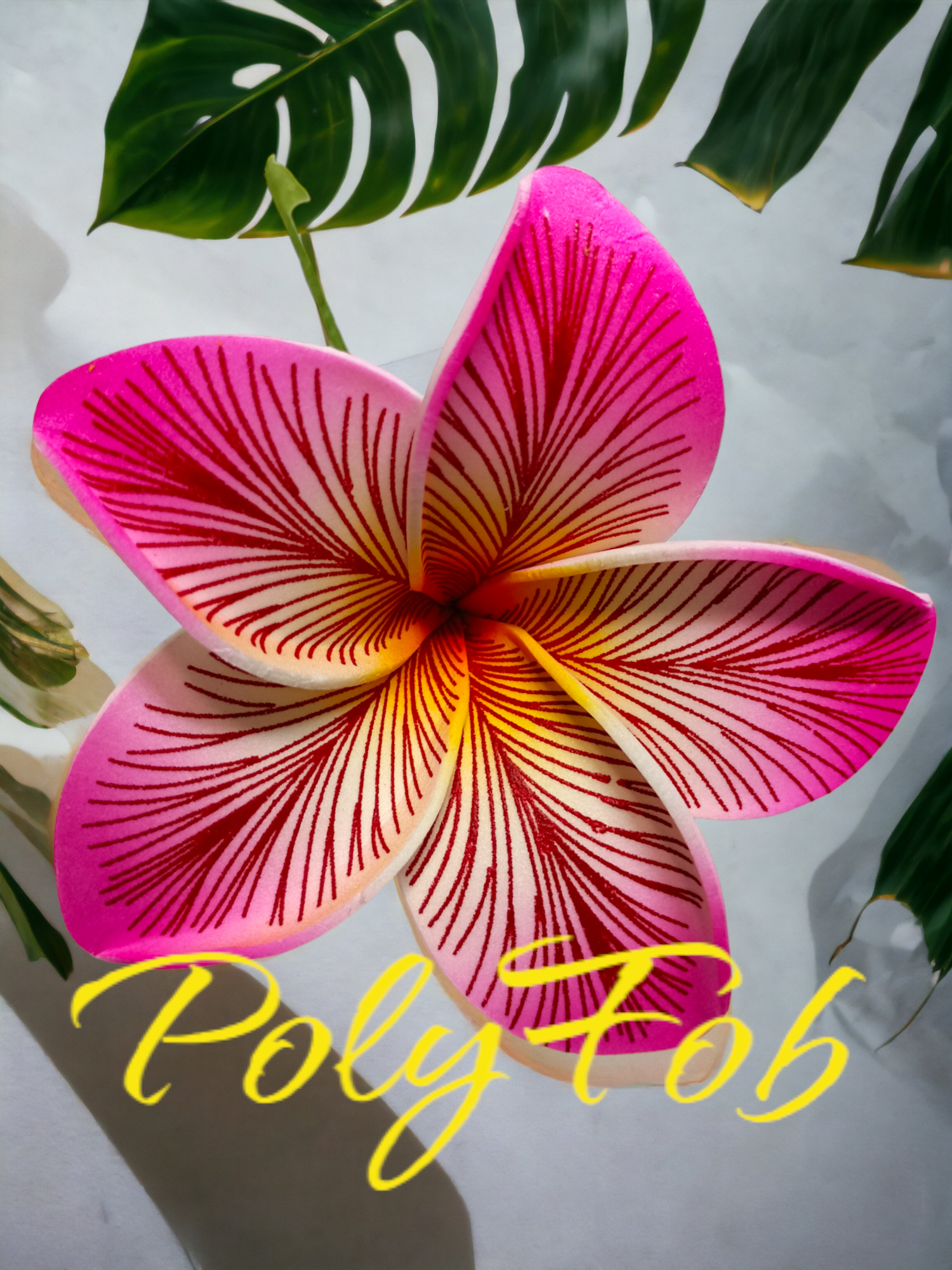その他 plumeria J105 Plumeria
