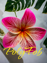 Load image into Gallery viewer, ISLAND PETALS SEI
