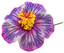 Load image into Gallery viewer, HIBISCUS GLOW FLOWER SEI
