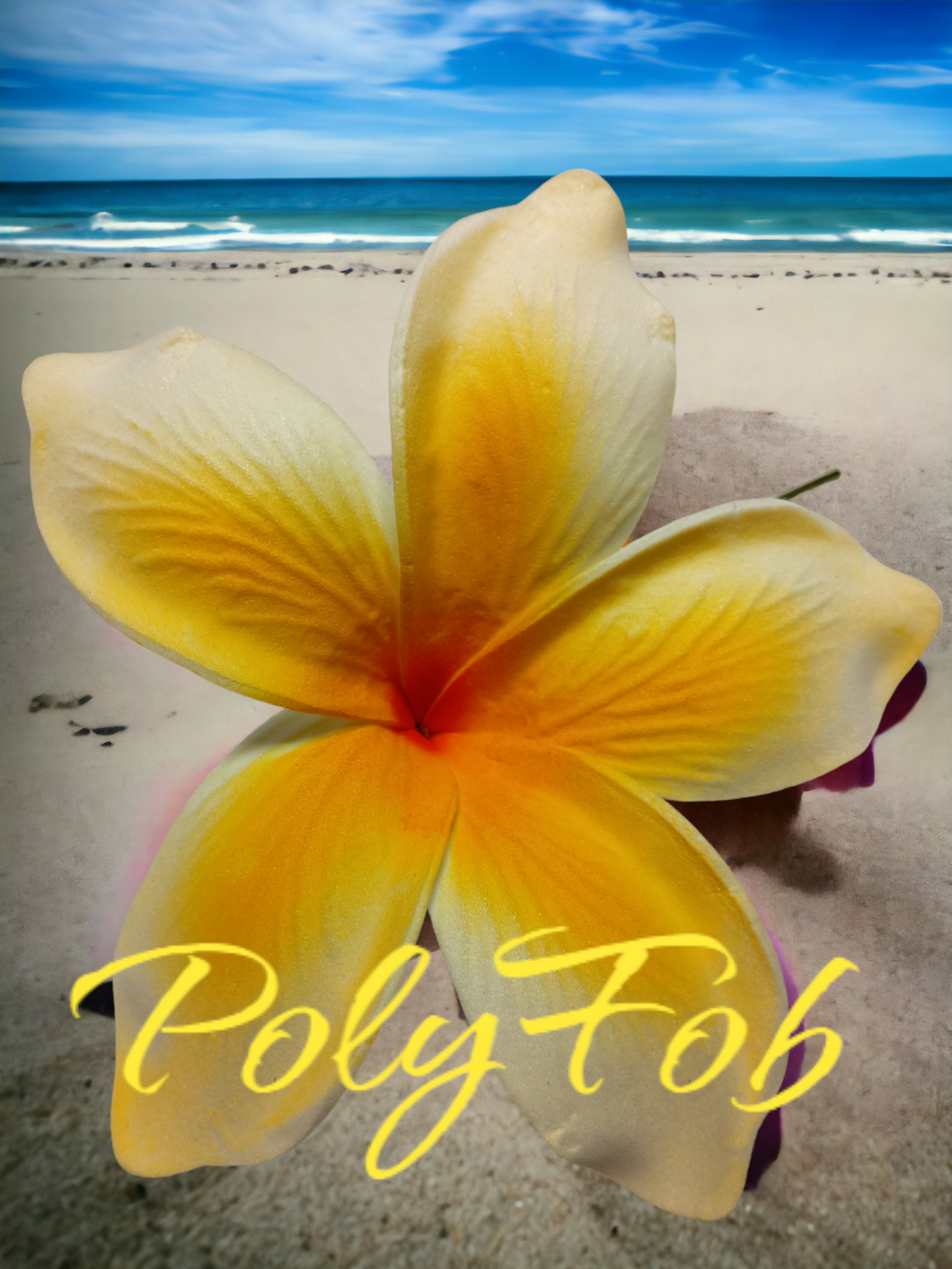 PUA SUNSET FLOWER SEI
