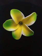 Load image into Gallery viewer, PLUMERIA ENCHANT WITH GRAY PEARL SEI
