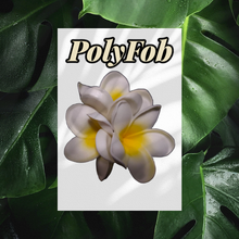 Load image into Gallery viewer, PLUMERIA PARADISE SEI
