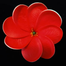 Load image into Gallery viewer, PACIFIC BLOSSOM HAIR CLIP
