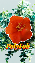 Load image into Gallery viewer, HIBISCUS SPARK HAIR CLIP
